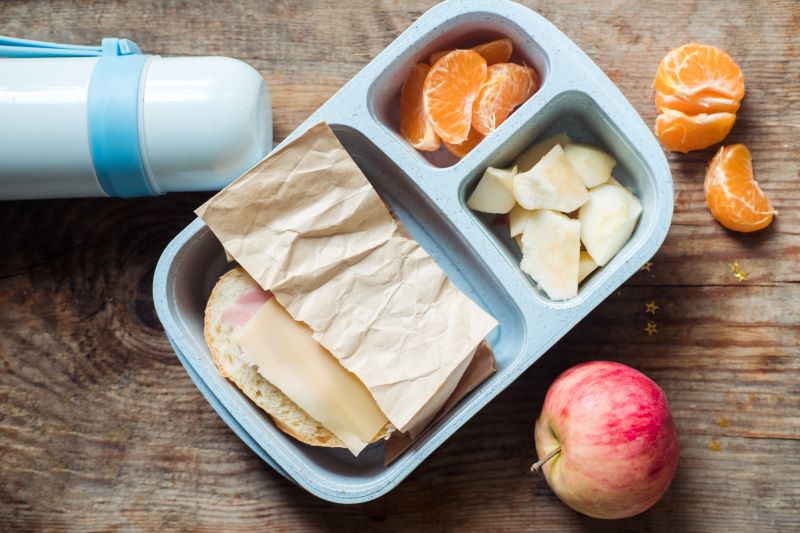 A school lunchbox with a ham and cheese sandwich and fruit