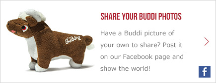 Buddy Bull plush toy