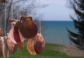 10 Beach-Themed Crafts and Activities