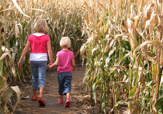 Fall Family Fun Checklist 